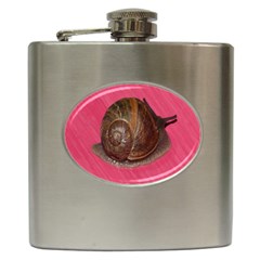 Snail Pink Background Hip Flask (6 Oz) by Nexatart