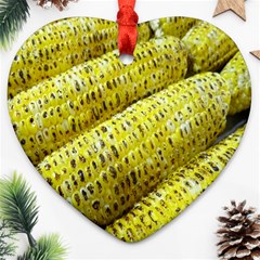 Corn Grilled Corn Cob Maize Cob Ornament (heart) by Nexatart