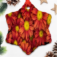 Flowers Nature Plants Autumn Affix Ornament (snowflake) by Nexatart