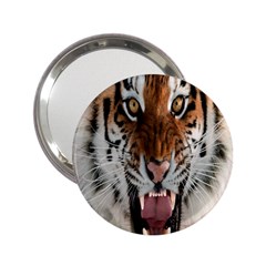 Tiger  2 25  Handbag Mirrors by Nexatart