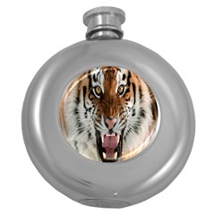 Tiger  Round Hip Flask (5 Oz) by Nexatart