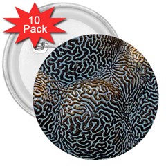 Coral Pattern 3  Buttons (10 Pack)  by Amaryn4rt