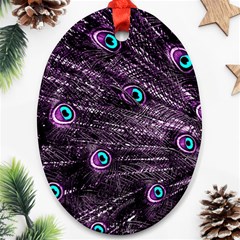 Bird Color Purple Passion Peacock Beautiful Ornament (oval) by Amaryn4rt