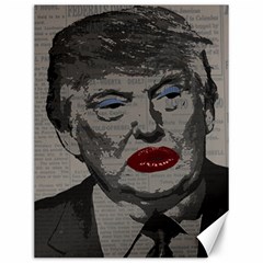 Transgender President    Canvas 12  X 16   by Valentinaart