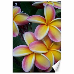 Premier Mix Flower Canvas 20  X 30   by alohaA