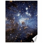 Large Magellanic Cloud Canvas 12  x 16   11.86 x15.41  Canvas - 1