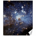 Large Magellanic Cloud Canvas 20  x 24   19.57 x23.15  Canvas - 1