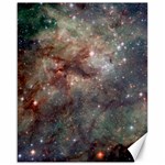 Tarantula Nebula Canvas 16  x 20   15.75 x19.29  Canvas - 1