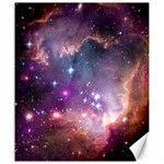 Small Magellanic Cloud Canvas 20  x 24   19.57 x23.15  Canvas - 1