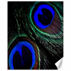 Peacock Feather Canvas 16  X 20   by Simbadda