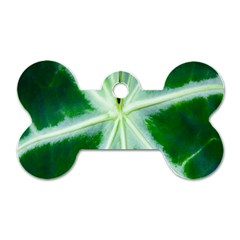 Green Leaf Macro Detail Dog Tag Bone (one Side) by Nexatart