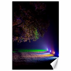 Illuminated Trees At Night Canvas 12  X 18   by Nexatart