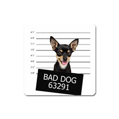 Bad Dog Square Magnet by Valentinaart