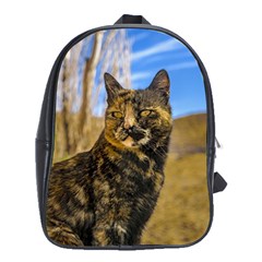 Adult Wild Cat Sitting And Watching School Bags (xl)  by dflcprints