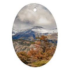 Forest And Snowy Mountains, Patagonia, Argentina Ornament (oval) by dflcprints