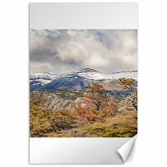 Forest And Snowy Mountains, Patagonia, Argentina Canvas 24  X 36  by dflcprints