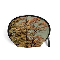 Landscape Scene Colored Trees At Glacier Lake  Patagonia Argentina Accessory Pouches (small)  by dflcprints