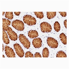 Formalin Paraffin Human Stomach Stained Bacteria Brown Large Glasses Cloth (2-side) by Mariart