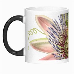 Passion Flower Flower Plant Blossom Morph Mugs by Nexatart