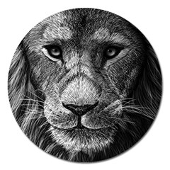 My Lion Sketch Magnet 5  (round) by 1871930