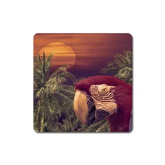 Tropical Style Collage Design Poster Square Magnet by dflcprints