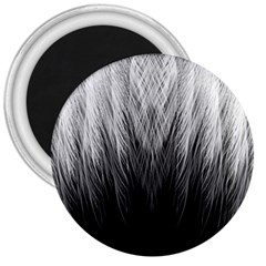 Feather Graphic Design Background 3  Magnets by BangZart