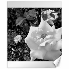 White Rose Black Back Ground Greenery ! Canvas 16  X 20   by CreatedByMeVictoriaB