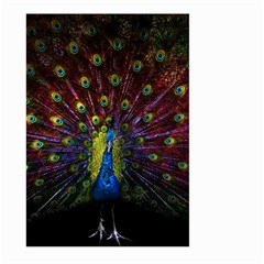 Beautiful Peacock Feather Large Garden Flag (two Sides) by BangZart