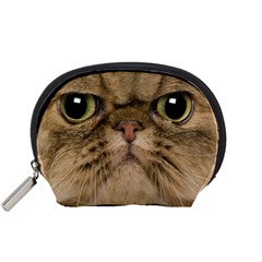 Cute Persian Catface In Closeup Accessory Pouches (small)  by BangZart