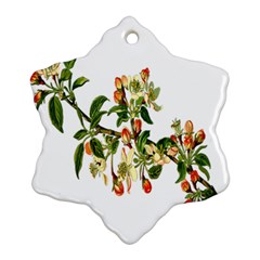 Apple Branch Deciduous Fruit Ornament (snowflake) by Nexatart