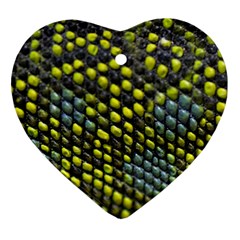 Lizard Animal Skin Ornament (heart) by BangZart