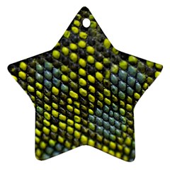 Lizard Animal Skin Ornament (star) by BangZart