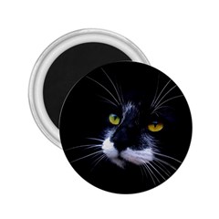 Face Black Cat 2 25  Magnets by BangZart