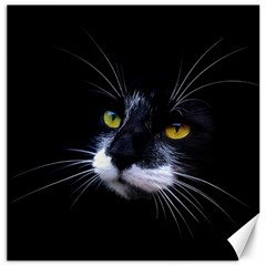 Face Black Cat Canvas 12  X 12   by BangZart