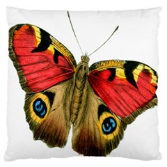 Butterfly Bright Vintage Drawing Large Flano Cushion Case (one Side) by Nexatart