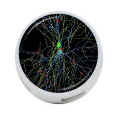 Synaptic Connections Between Pyramida Neurons And Gabaergic Interneurons Were Labeled Biotin During 4-port Usb Hub (one Side) by Mariart