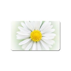 Art Daisy Flower Art Flower Deco Magnet (name Card) by Nexatart