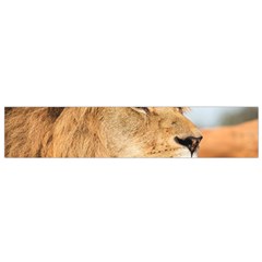 Big Male Lion Looking Right Small Flano Scarf by Ucco