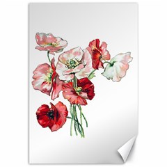 Flowers Poppies Poppy Vintage Canvas 20  X 30   by Celenk