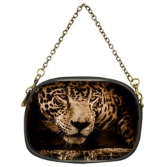 Jaguar Water Stalking Eyes Chain Purses (two Sides)  by BangZart