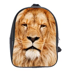 Africa African Animal Cat Close Up School Bag (xl) by BangZart