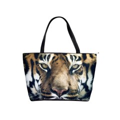 Tiger Bengal Stripes Eyes Close Shoulder Handbags by BangZart