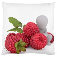 Fruit Healthy Vitamin Vegan Large Cushion Case (one Side) by BangZart