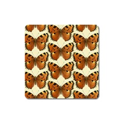 Butterfly Butterflies Insects Square Magnet by Celenk