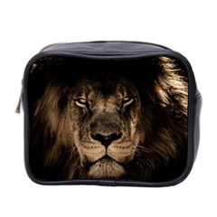 African Lion Mane Close Eyes Mini Toiletries Bag 2-side by Celenk