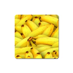 Yellow Banana Fruit Vegetarian Natural Square Magnet by Celenk