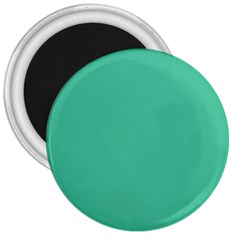 Seafoamy Green 3  Magnets by snowwhitegirl