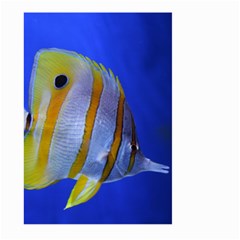 Butterfly Fish 1 Large Garden Flag (two Sides) by trendistuff