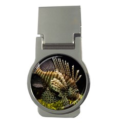 Lionfish 3 Money Clips (round)  by trendistuff