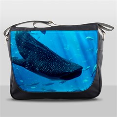 Whale Shark 2 Messenger Bags by trendistuff